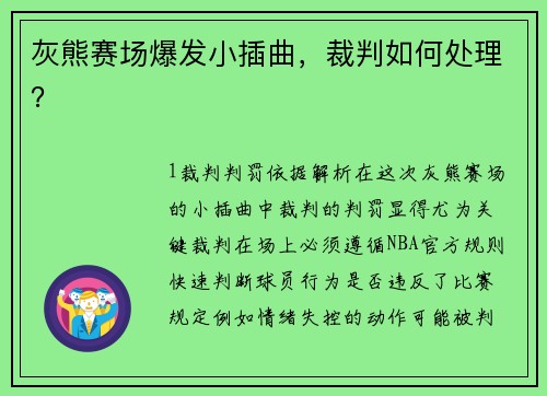 灰熊赛场爆发小插曲，裁判如何处理？